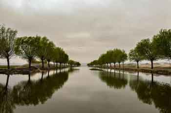 Soysallı Büğleyen